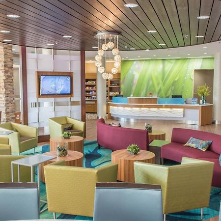 Springhill Suites By Marriott Sumter Kültér fotó